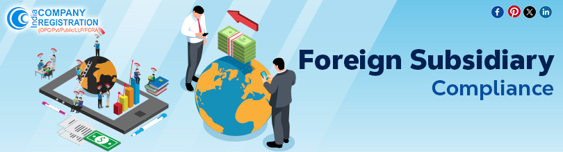 Top Regulatory Requirements for Foreign Subsidiaries to Know